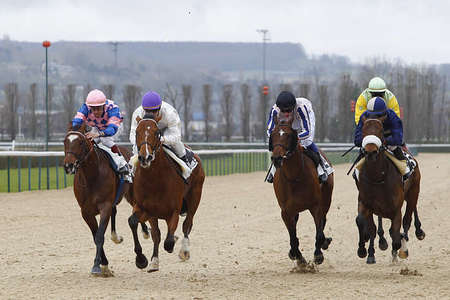 Actualités Hippiques